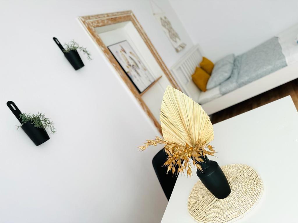 Apartament Music & And *
